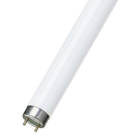 Лампа Osram люминесцентная линейная ЛЛ белая 30вт L30/640 G13