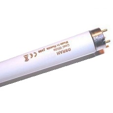 Лампа Osram 18Вт/33 /L18W/640 