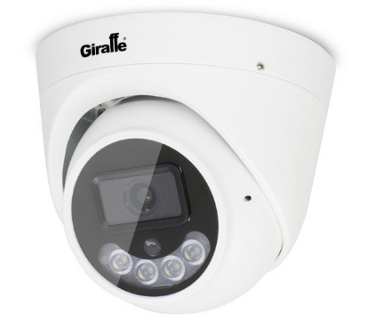 IP-камера купольная Giraffe GF-IPV0402F1 с сервисом IPEYE
