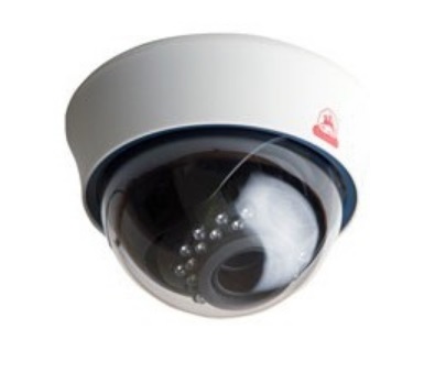 IP-камера купольная Sarmatt SR-ID25V2812IRL(с аудио)