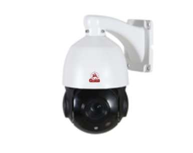 IP-камера уличная Sarmatt SR-ID25V4794PIR