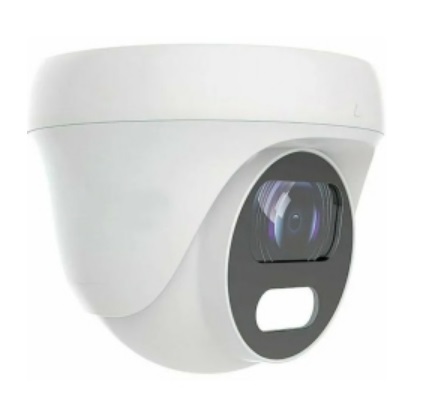 AltCam DDMF24IR купольная