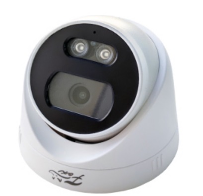 IP-камера купольная Fox FX-IPC-D20FP-IR AI